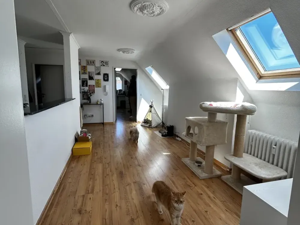 Bright Two-Room Apartment in Hürth