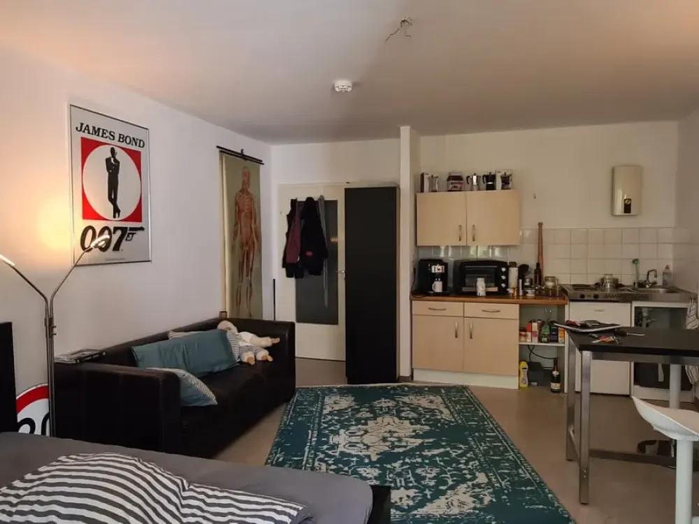freundliche 1 Zimmer Wohnung in der List - nähe Eilenriede