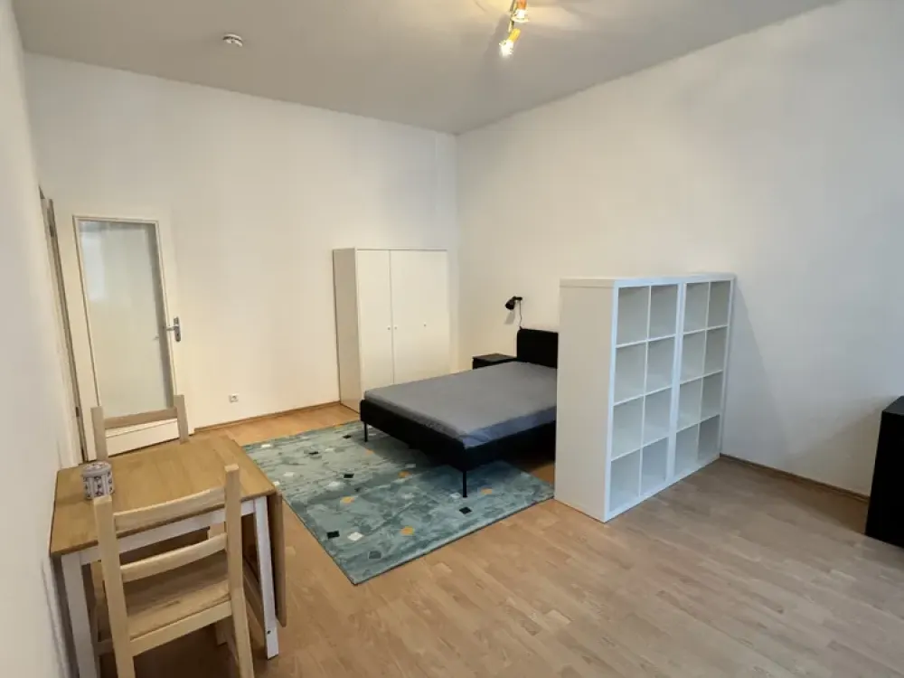 1 Zimmer Wohnung in Leipzig Zentrum-Süd - möbliert