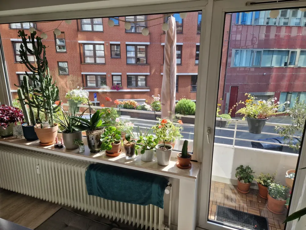 2-Zimmer-Wohnung in der Bremer Altstadt