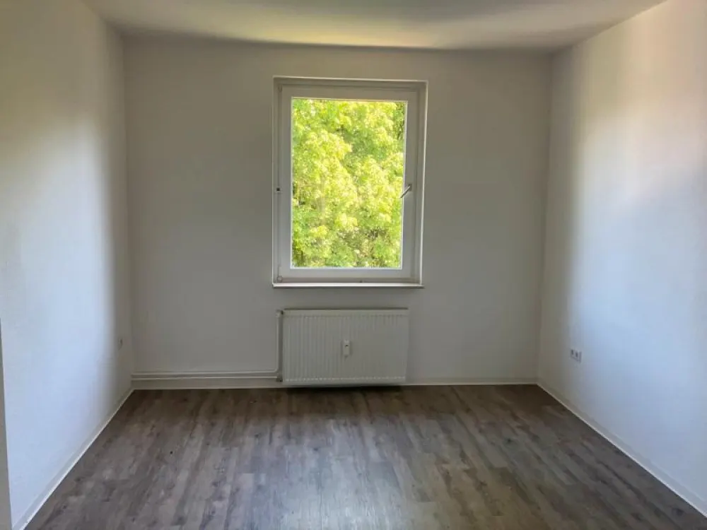 Beautiful 2-Room Apartment Seeks Tenant