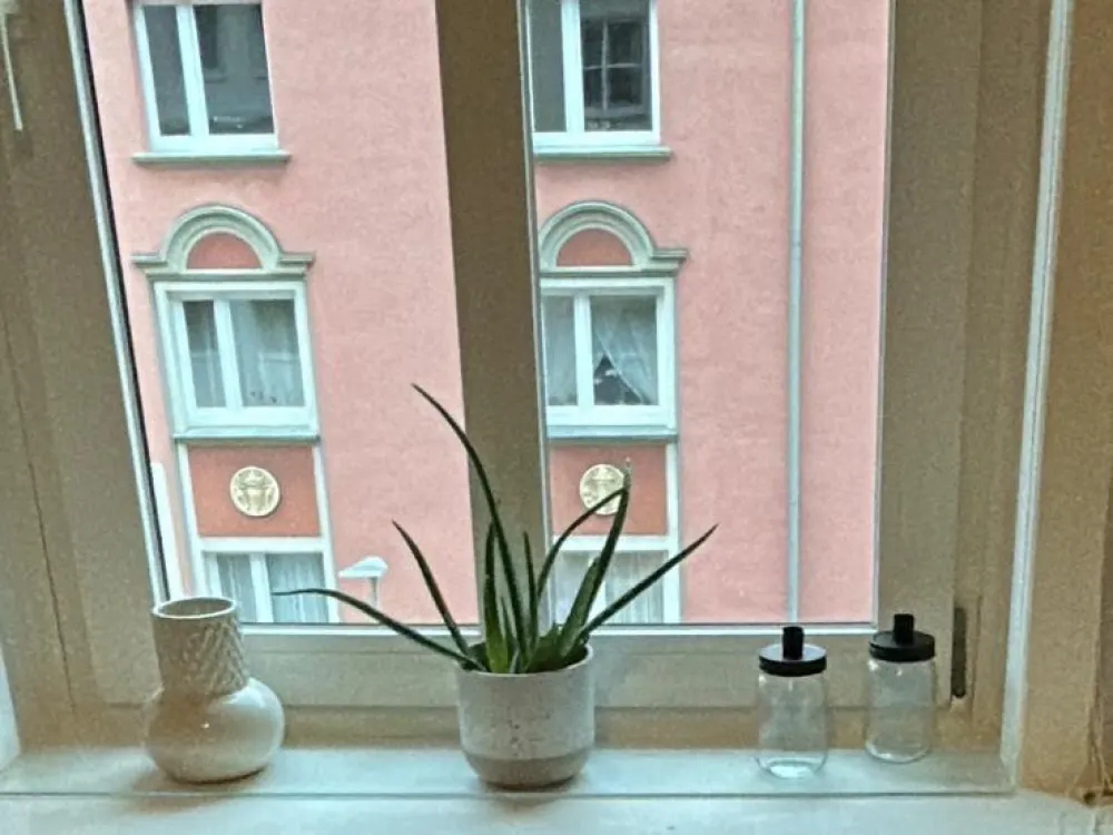 1-Zimmer Wohnung Südstadt ab 01.10.2026