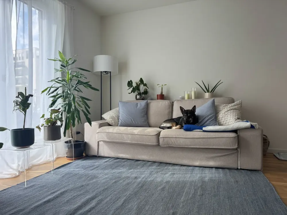 Zweitbezug - Gartenwohnung im Schönhofviertel
