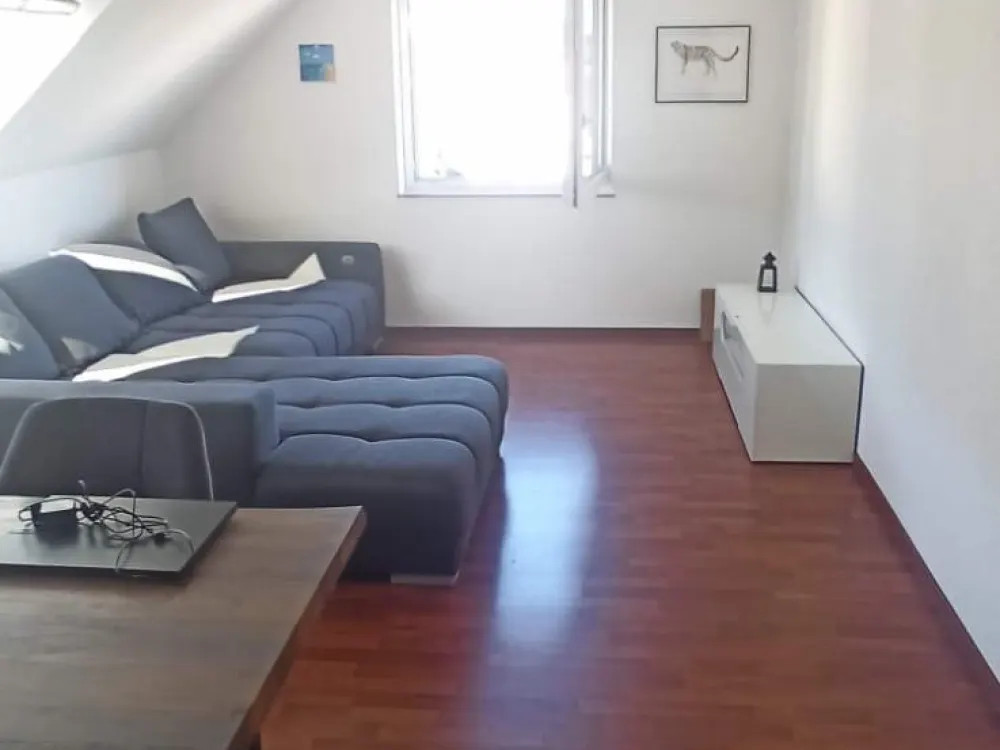 Helle 2 Zimmer DG Wohnung Deizisau