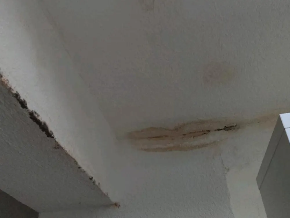 3 Zimmer Wohnung 105 Qm 1100€ Kaltmiete
