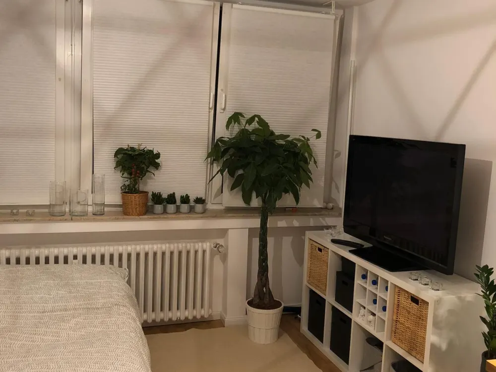 Vollmöbliertes Appartment inkl. aller Nebenkosten in Flingern