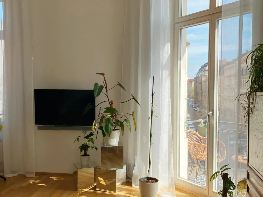 Zwischenmiete *sonnig und urban* für 3 Monate, ggf. auch länger