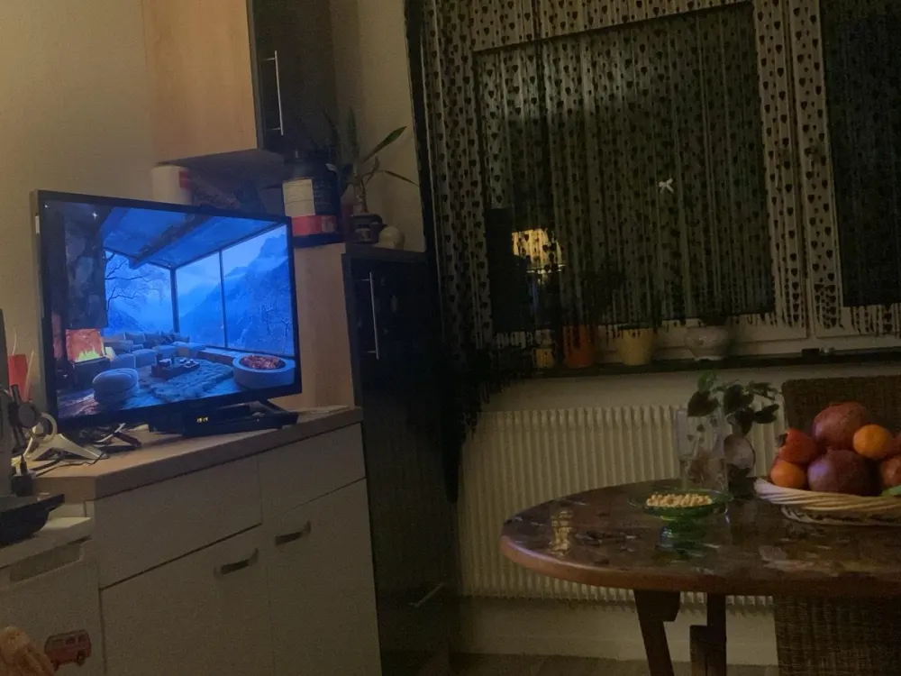 1 Zimmer mit Garten