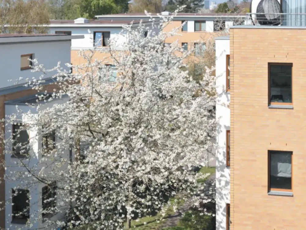 2-Zimmer-Wohnung mit Dachterrasse und neuer Einbauküche