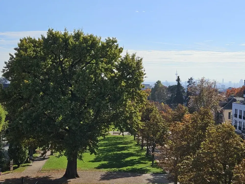 Lichtdurchflutete, zentral gelegene Wohnung m. Blick auf Park und Frankfurter Skyline