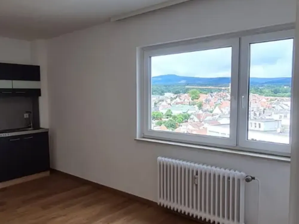 Lichtdurchflutete, zentral gelegene Wohnung m. Blick auf Park und Frankfurter Skyline