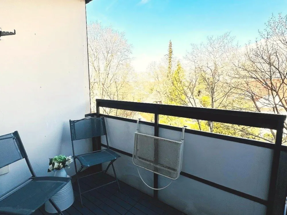 Möblierte 1-Zimmer-Wohnung am Wöhrder See, Balkon & Tiefgarage.