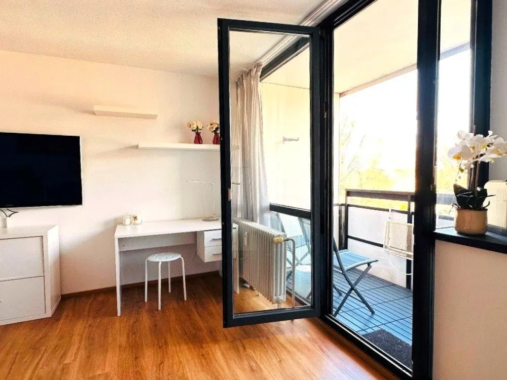 Möblierte 1-Zimmer-Wohnung am Wöhrder See, Balkon & Tiefgarage.