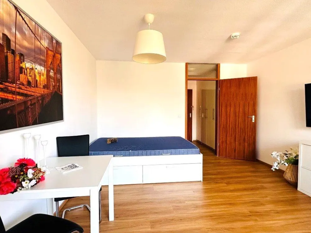 Möblierte 1-Zimmer-Wohnung am Wöhrder See, Balkon & Tiefgarage.