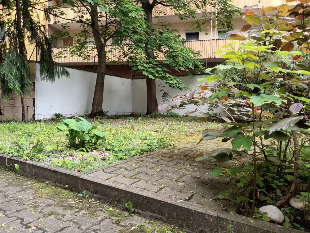 Kleine, geschmackvolle 3-Zimmer-Erdgeschosswohnung