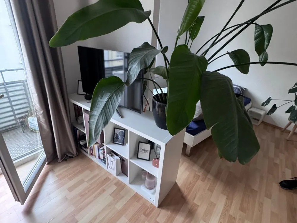 Wohnung Frankfurter Nordend zur Nachmiete