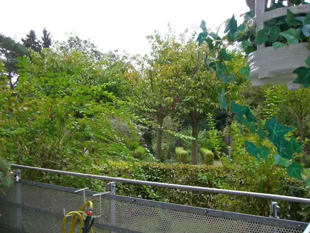 Lichtdurchflutetes Wohnen mit Garten & Balkon in Bad Homburg
