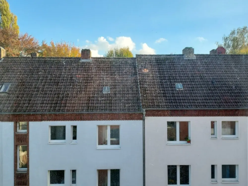 Quiet Shared Apartment in Münster 🏠 | No Parties