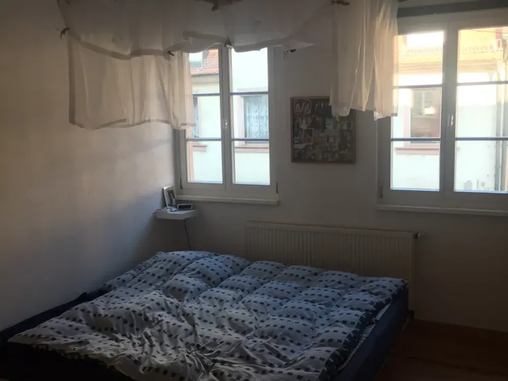 Denkmalschutz Wohnung mit 3 Zimmern im Herzen von Erlangen