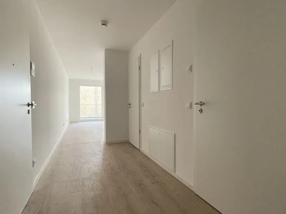 Modern Apartment for Rent with Balcony in Dresden Neustadt - Wentzel Dr.