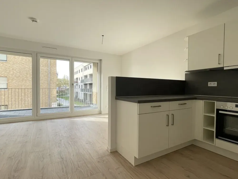 Modern Apartment for Rent with Balcony in Dresden Neustadt - Wentzel Dr.