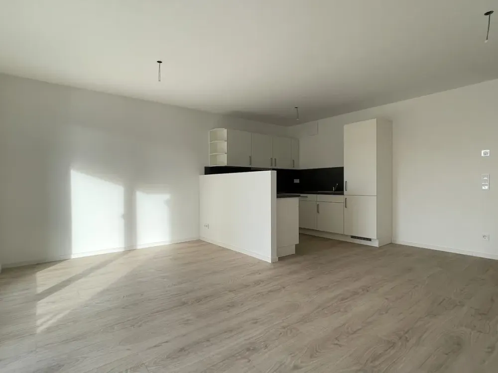 Modern Apartment for Rent with Balcony in Dresden Neustadt - Wentzel Dr.