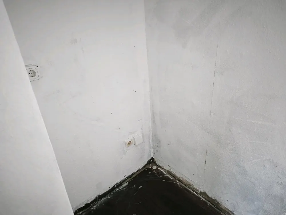 Single Wohnung in RE Süd