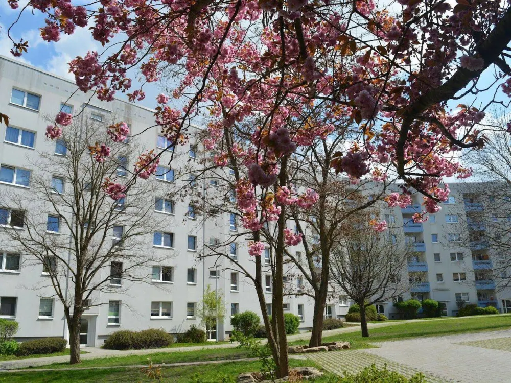Jetzt dürfen SIe die Farbe wählen!