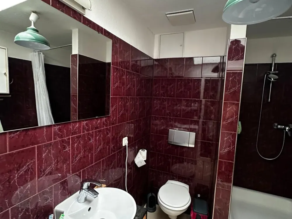 Cozy Apartment in Leipzig-Plagwitz