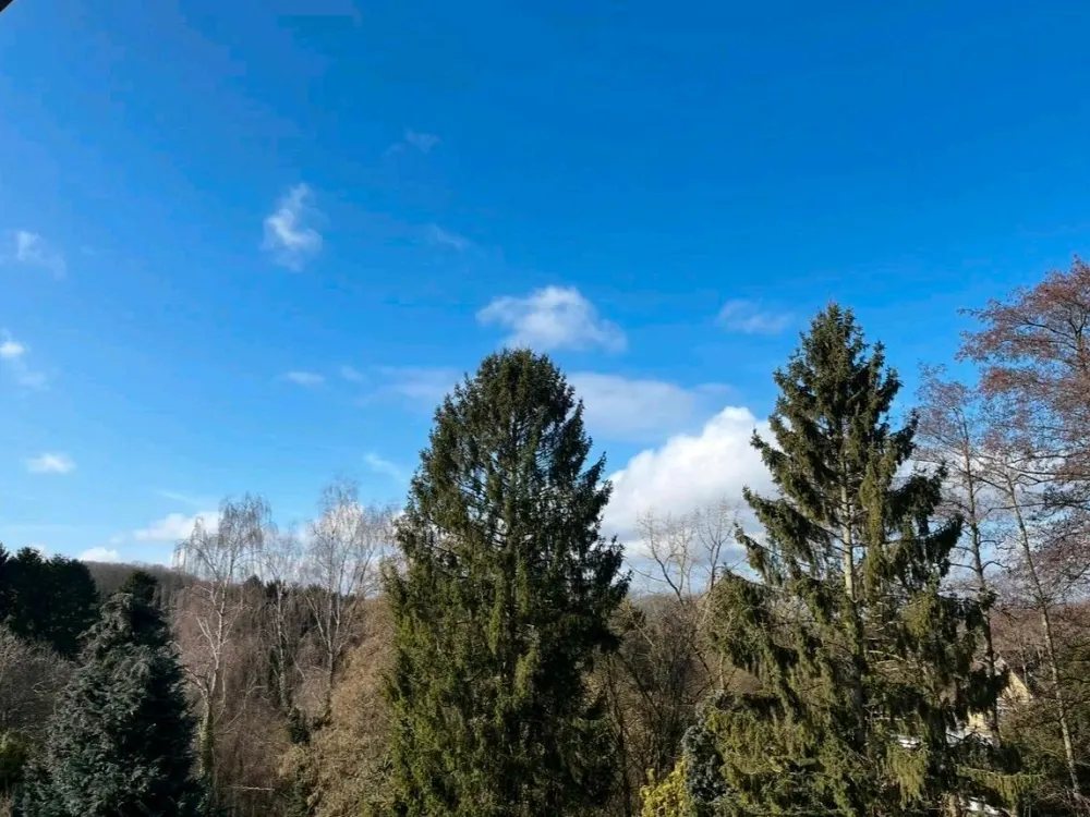 Möbliertes Luxus-Penthouse in DO-Höchsten
