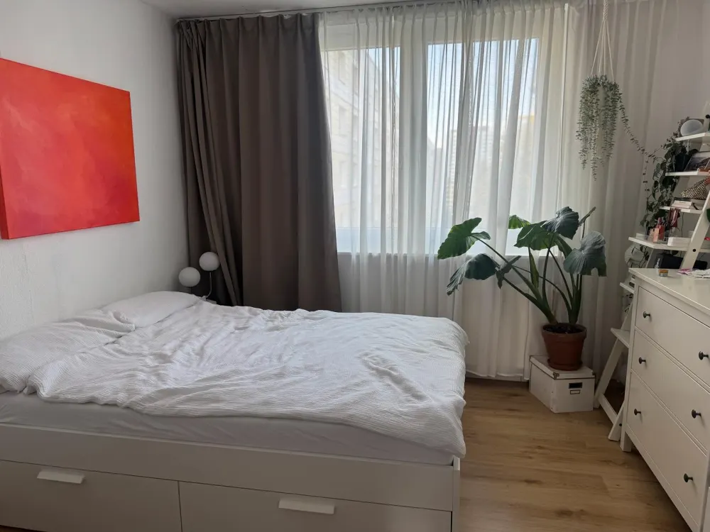 Möbelierte 2-Zimmer Wohnung in Berlin-Mitte (befristet)