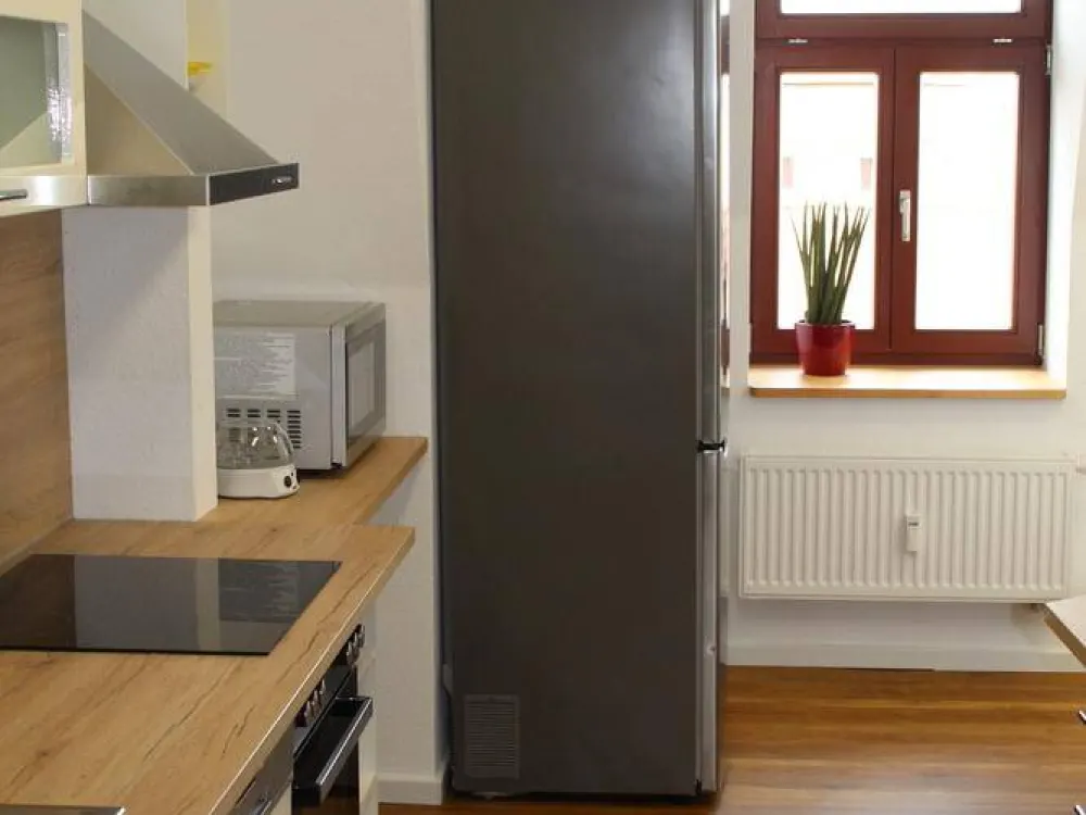 19249 HomeCompany Dresden Möbliert/ Furnished Traumhafte 4-Zimmer Maisonett-Wohnung mit Blick zur Elbe max. 4 Personen