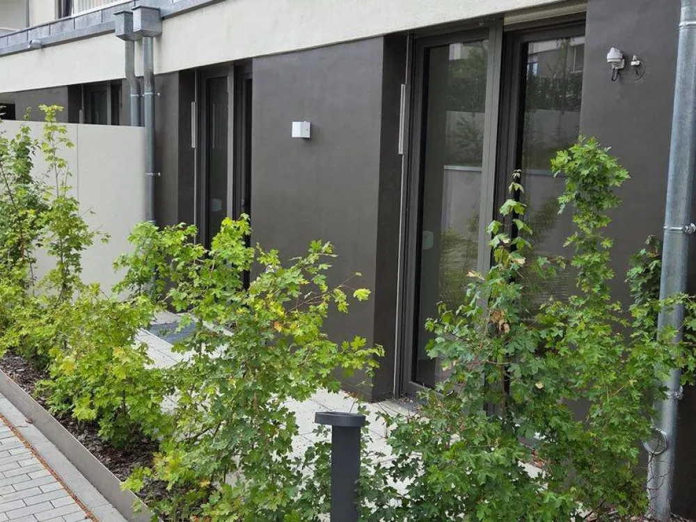 Wohnung in Dresden