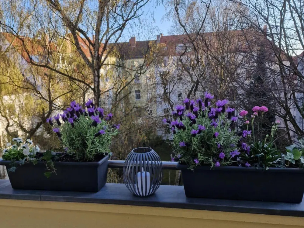 Schöne 2 ZKB Wohnung mit Einbauküche und Balkon in der List.