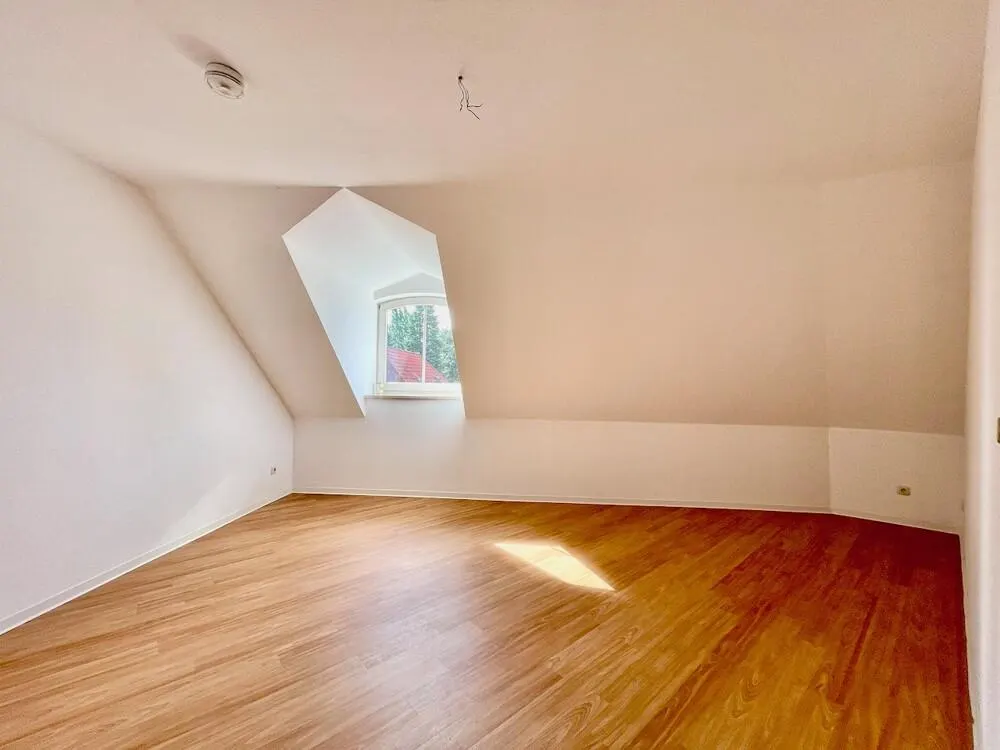 +ESDI+ Einmalige Galerie-Wohnung im grünen Kleinzschachwitz + Balkon