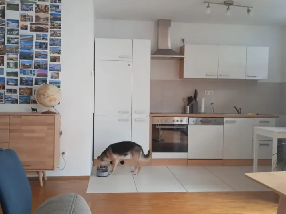 Gepflegte 2-Zimmer-Wohnung in Bergisch Gladbach
