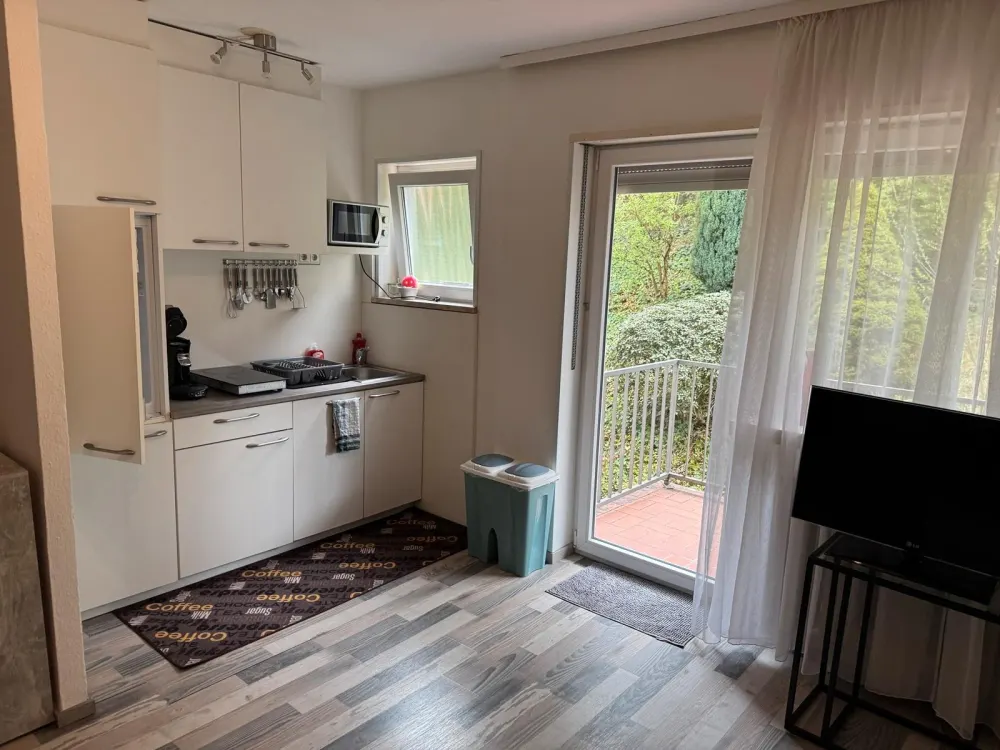 Single Apartment in Saarbrücken Rußhütte