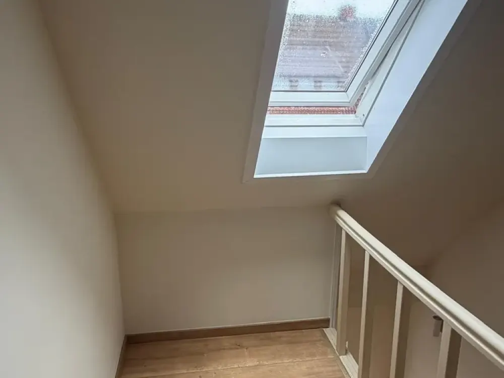 3,5 Zimmer -Walle