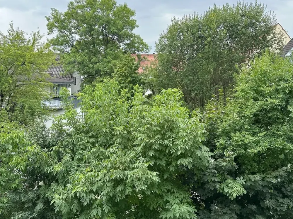Helle 2-Zimmerwohnung mit Südbalkon