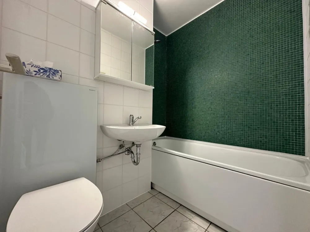 1 Room Apartment with Balcony in Kerpen Türnich