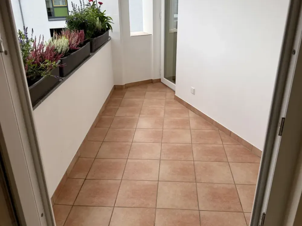 Dream Apartment Derendorf - very bright - fitted kitchen - elevator - balcony - opposite HSD - near Deloitte - open kitchen