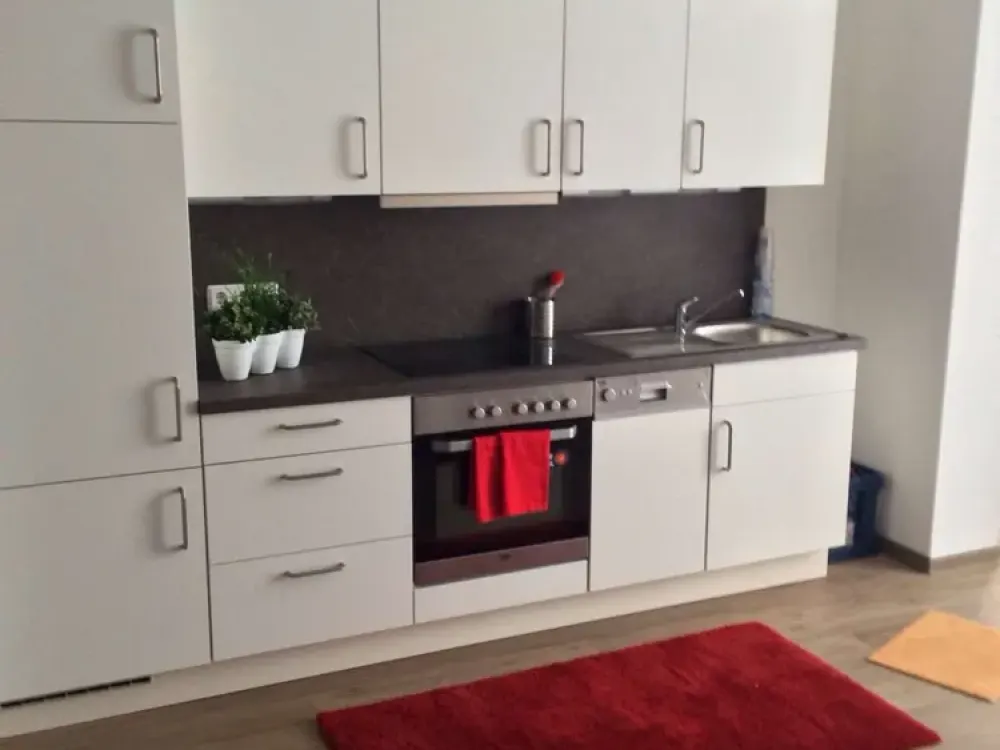 Moderne, komplett möblierte Apartments im Business Apartmenthaus (4-02))
