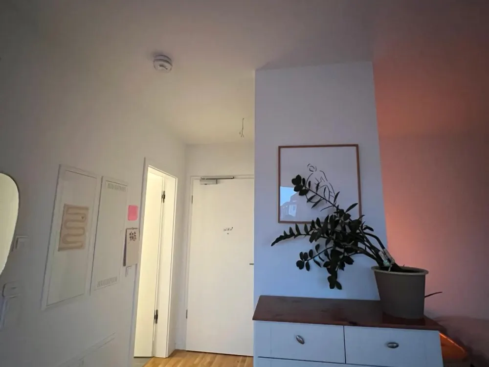 Nachmieter für wunderschöne, helle 1-Raum-Wohnung gesucht