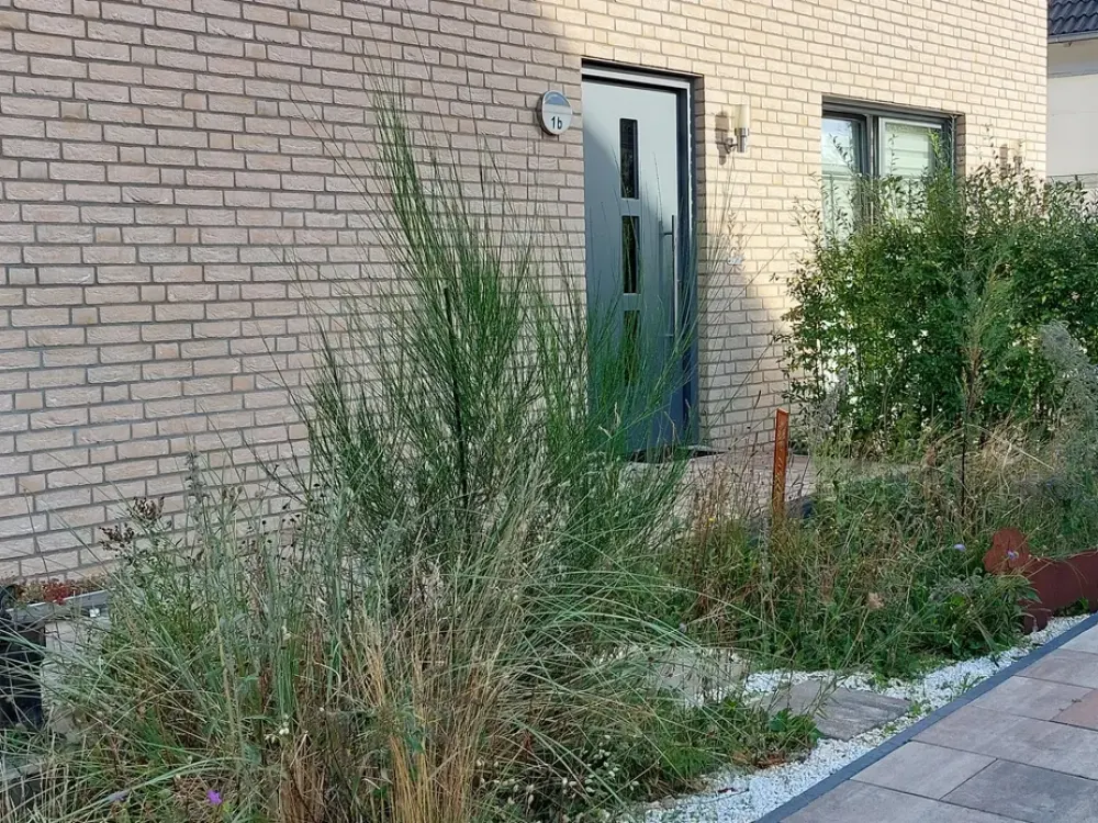 Hannover-Burg: Hochwertige 2-Zimmer-Whg. am Botanischen Garten für Einzelperson (ab 15.01./01.02.27)