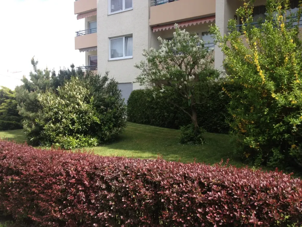 1 Zimmerwohnung mit Balkon