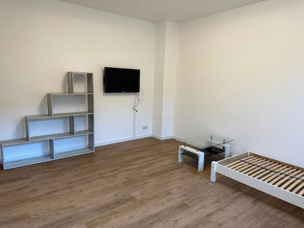 1-Zimmer Wohnung neu renoviert mit Küche