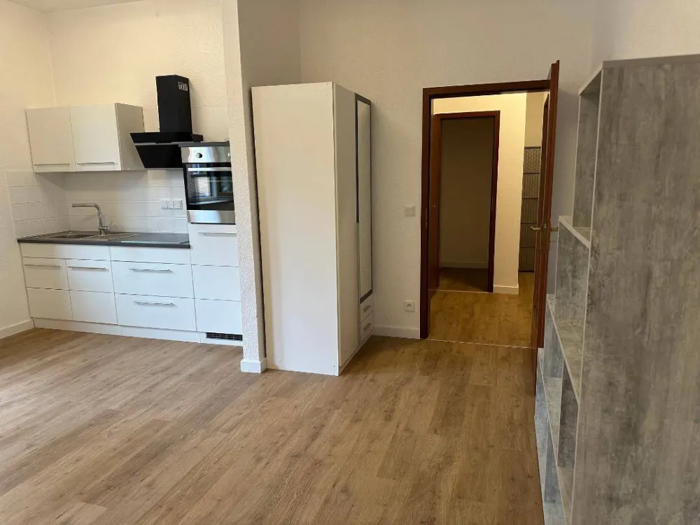 1-Zimmer Wohnung neu renoviert mit Küche
