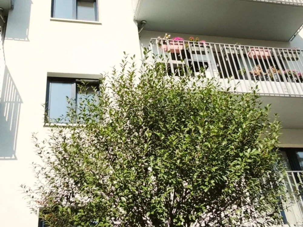 Schöne DG-Wohnung mit Balkon in zentrumsnaher Wohnlage! Neubau + hochwertige EBK + FuBo-Heizung + WANNE+BALKON + OFFENE KÜCHE
