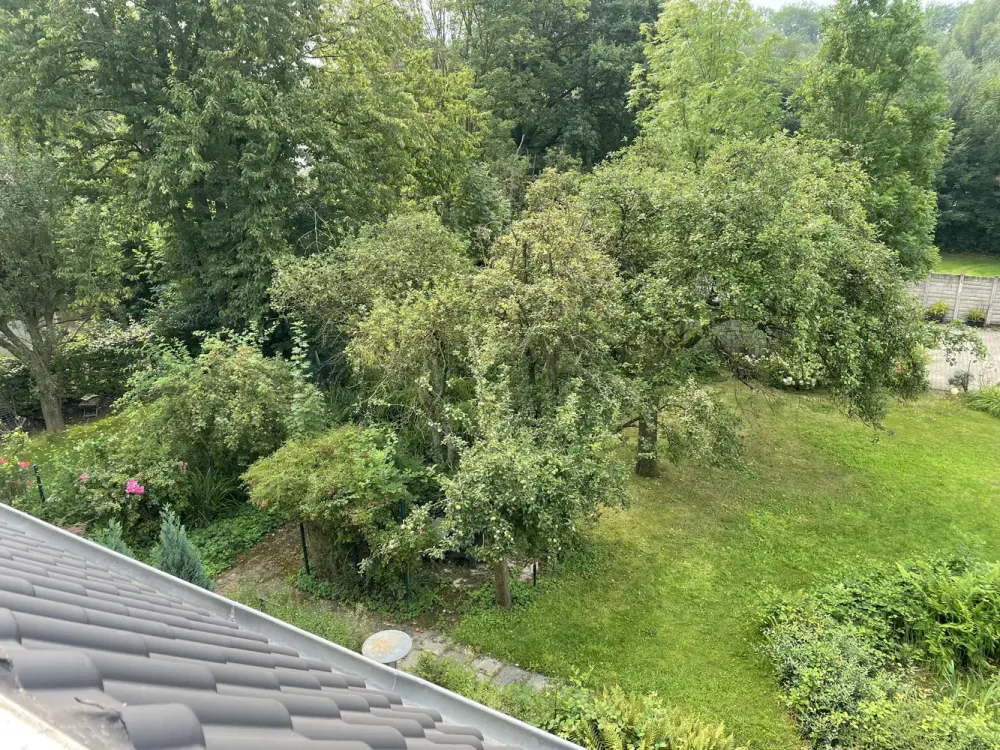 Helle, freundliche Dachgeschosswohnung