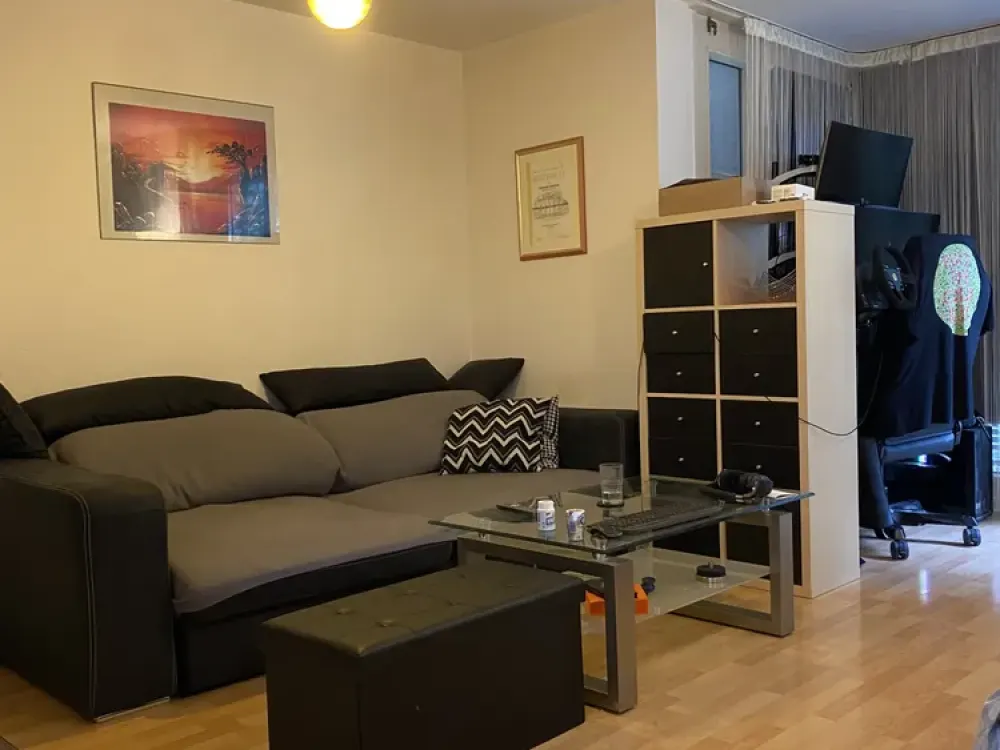 Sunny 1-Room Apartment with Small Garden Area